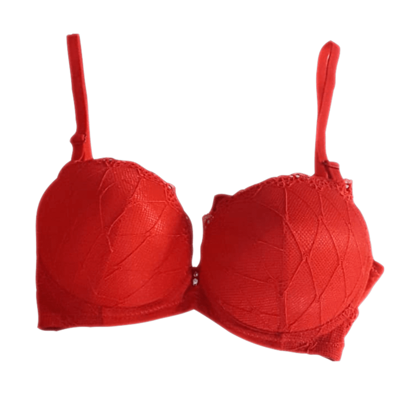 Shaikhhands Lycra Cotton Cotton Padded Pushup Fancy T-shirt Bra with  Net-Carrot Red, for Party Wear at Rs 85/piece in Noida