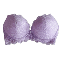 Net Grey Self Design Non-Wired Heavily Padded Push Up Bra at best price in  Gwalior