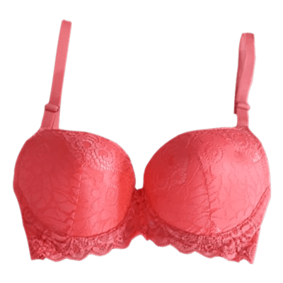 Padded Full Coverage Wired Push Up Bra with Lace (Red)