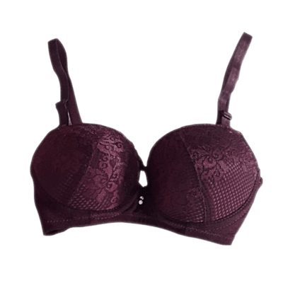 Padded Under Wired Push Up Bra with Net Coverage (Light Violet)