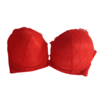 Push Up Wired with Laced Net Polyester Cotton Bra (Red)