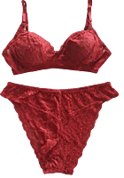 Lady Love Printed Lilly Set Bra & Panty Bridal Set