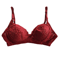 Lady Love Shimmer Bra & Panty Bridal Set-Maroon