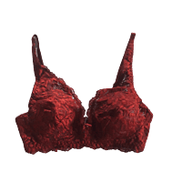 Lace Transparent Bra Set(Red) in Kolkata at best price by New Styloform -  Justdial