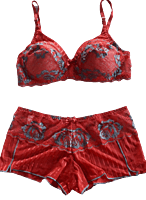 Lady Love Blue Berry Bra & Panty Bridal Set