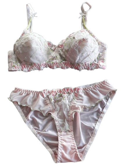 Silk Womens Bra Set w/Lace Underwired Padded Bra and Panties Set Size 36B  -Paradise Silk