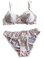 Silk Womens Bra Set w/Lace Underwired Padded Bra and Panties Set Size 36B  -Paradise Silk