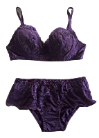 This is Love Lace Bralette - Dusty Purple