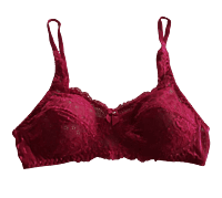 Light Up The Stage Red Love Heart Mesh Bra (14E), Women's