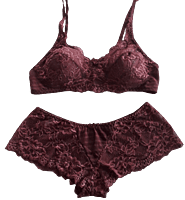 Maroon Wedding Padded Bra and Panty Set – Espicopink