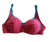 Buy LoveFifi Women's Smooth MEGA Bra - 34D - Nude Online at desertcartINDIA