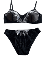 Buy Embroidered Semi Transparent Bra Panty Set