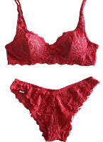 Lady Love Victoria Set Bra & Panty Bridal Set