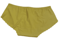 Fancy Mesh Lacely Netted Panty- Dull Gold Fancy Mesh Lacely Netted Panty- Dull Gold