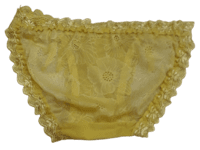 Fancy Mesh Double Lacely Netted Panty -Gold Fancy Mesh Double Lacely Netted Panty -Gold