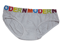 Comfortly Vanish Seamless Bikini Panty- White Comfortly Vanish Seamless Bikini Panty- White