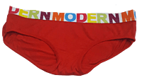 Comfortly Vanish Seamless Bikini Panty- Red Comfortly Vanish Seamless Bikini Panty- Red