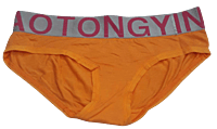 Comfortly Vanish Seamless Bikini Panty- Peach Comfortly Vanish Seamless Bikini Panty- Peach
