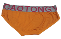 Comfortly Vanish Seamless Bikini Panty- Peach Comfortly Vanish Seamless Bikini Panty- Peach