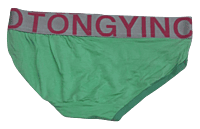 Comfortly Vanish Seamless Bikini Panty- Lite Green Comfortly Vanish Seamless Bikini Panty- Lite Green
