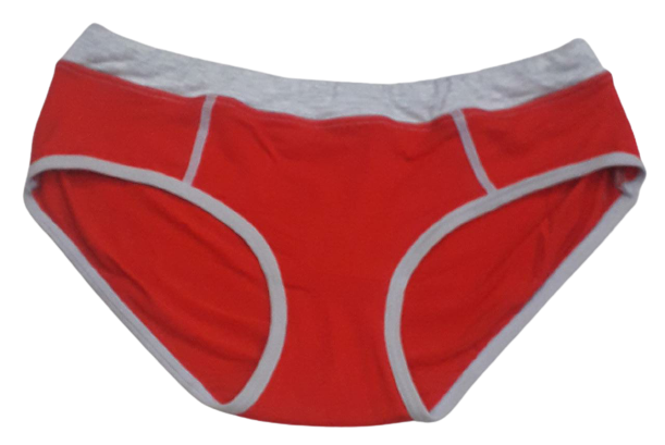 Comfortly Vanish Seamless Bikini Panty- Red And Grey