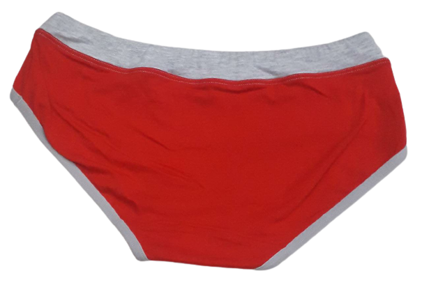 Vanish Seamless Bikini Panty - Red