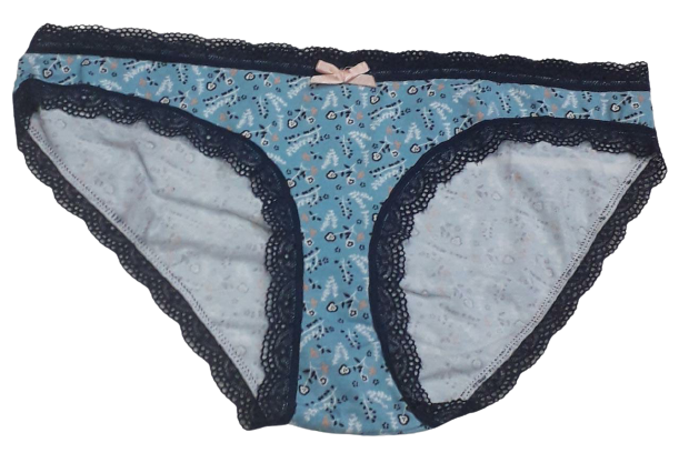 Fancy Mesh Printed Bikini Lacely Panty- Sky Blue Fancy Mesh Printed Bikini Lacely Panty- Sky Blue