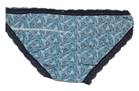 Fancy Mesh Printed Bikini Lacely Panty- Sky Blue Fancy Mesh Printed Bikini Lacely Panty- Sky Blue