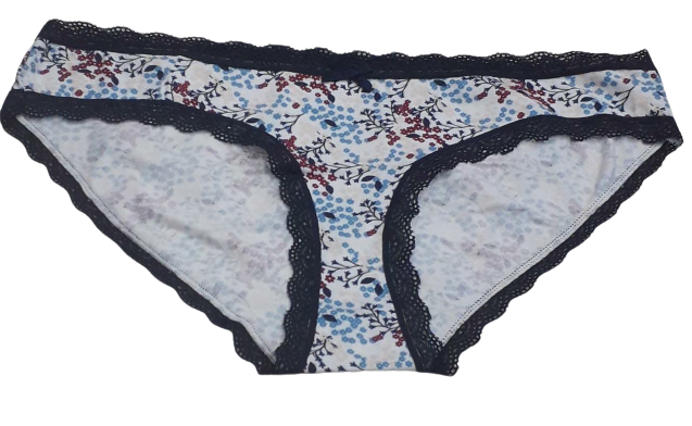 Fancy Mesh Printed Bikini Lacely Panty- White With Blue & Red Fancy Mesh Printed Bikini Lacely Panty- White With Blue & Red