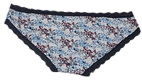 Fancy Mesh Printed Bikini Lacely Panty- White With Blue & Red Fancy Mesh Printed Bikini Lacely Panty- White With Blue & Red