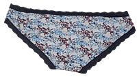 Fancy Mesh Printed Bikini Lacely Panty- Blue Flowery-M(37-38)