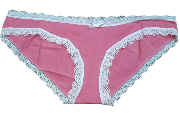 Fancy Mesh  Bikini Lacely Panty- PINK