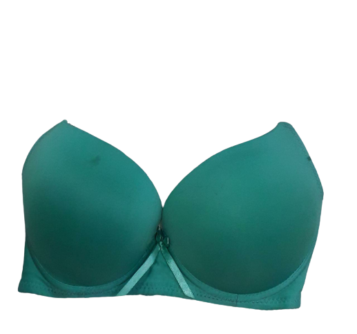 Green Shehnaz Designer Foam Bra, Size: 36A at Rs 224/piece in New Delhi