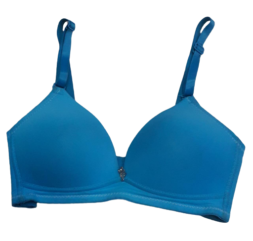 Buy Amante White Full Coverage Everyday Bra BFOM23 - Bra for Women