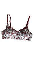 Lady Love Printed Lilly Set Bra & Panty Bridal Set-White With Blue