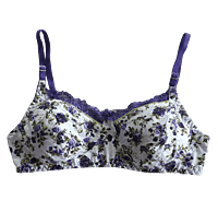 Lady Love Printed Lilly Set Bra & Panty Bridal Set-White With Blue